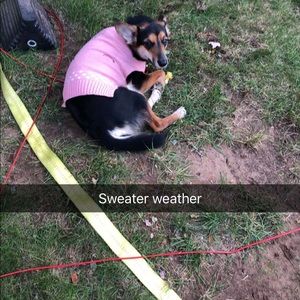 Meet your Posher, Brittany